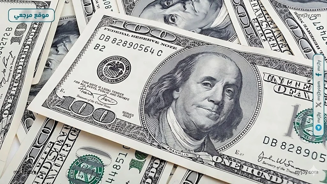 استقرار سعر الدولار مقابل الجنيه في البنوك المصرية خلال تعاملات الأحد